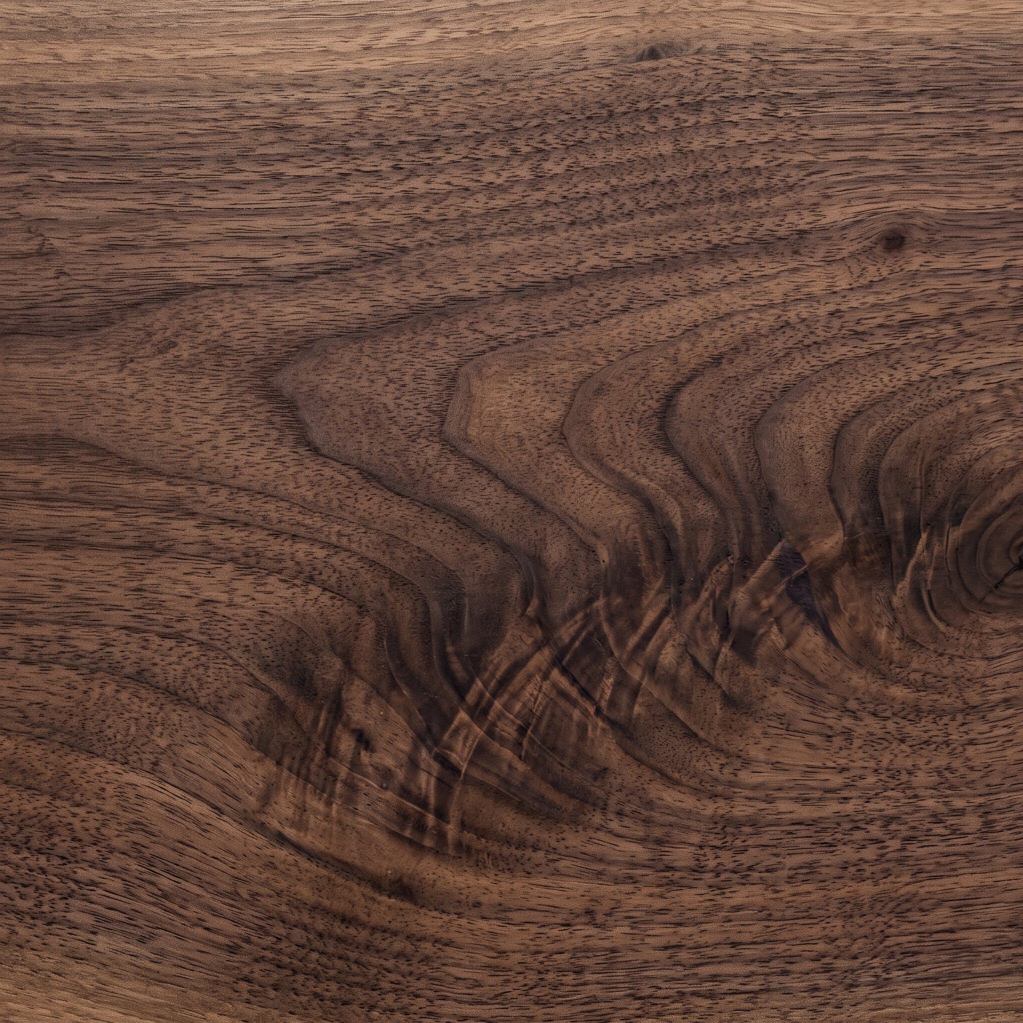 Walnut — natural grain at full detail